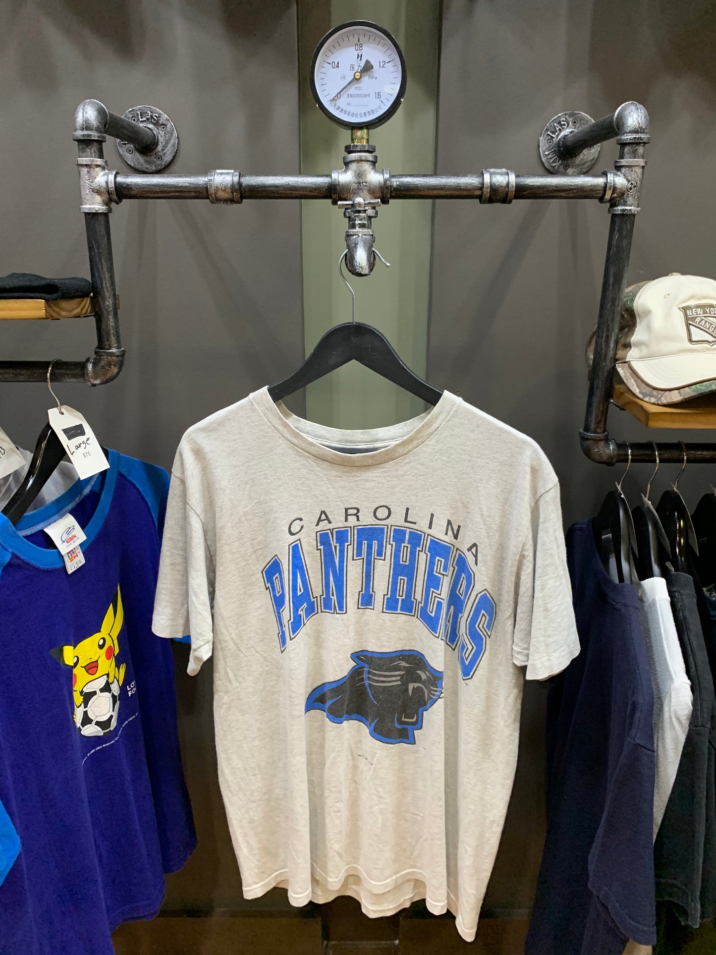Carolina Panthers grey
